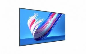 Профессиональная панель Philips 65BDL3650Q/00