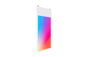 Профессиональная панель Lumien Clear B 55" Профессиональная панель Lumien Clear B 55"