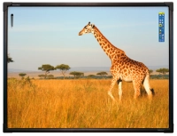 Интерактивная доска 88" ActivBoard Touch, ПО ActivInspire