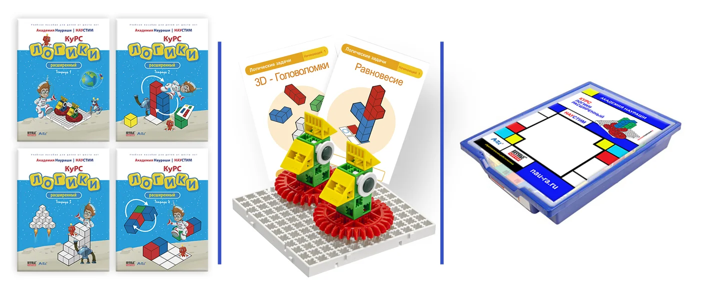Академия Наураши "Курс логики расширенный"