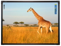 Интерактивная доска 78" ActivBoard Touch Dry Erase 2 касания, ПО ActivInspire