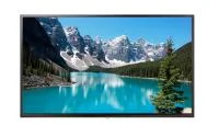 Профессиональная панель BOE 50" SL50AP-PBMM01 Профессиональная панель BOE 50" SL50AP-PBMM01