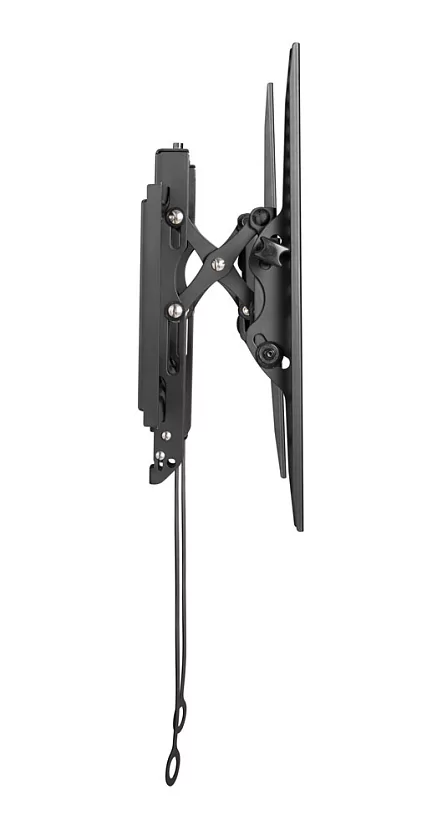 Крепление для панелей и телевизоров 32"-80" Wize Pro T55X