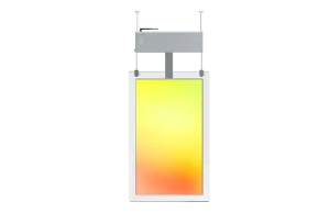 Профессиональная панель Lumien Clear A 55" Профессиональная панель Lumien Clear A 55"