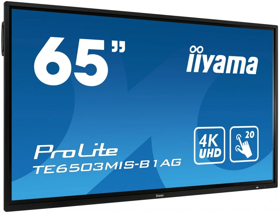 Интерактивная панель iiyama TE6503MIS-B1AG