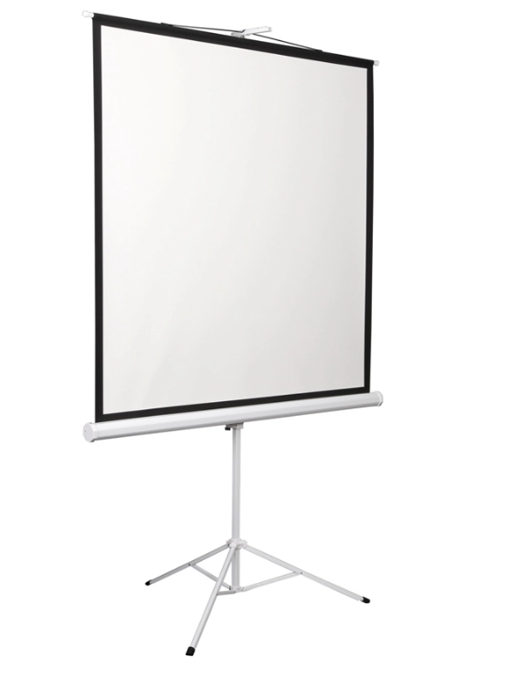 Экран на штативе Digis Kontur-D DSKD-1105