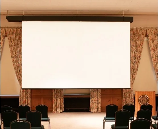 Экран с электроприводом Draper Rolleramic NTSC (3:4) 762/25' 450*600 XT1000E (MW)