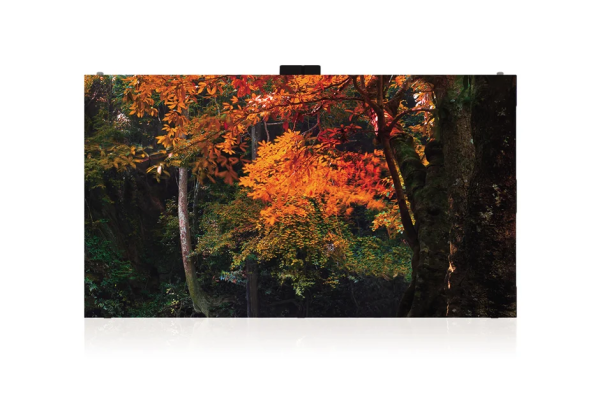 Светодиодный экран LG LAS025DB7-F