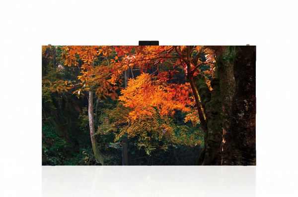 Светодиодный экран LG LAS025DB9-F