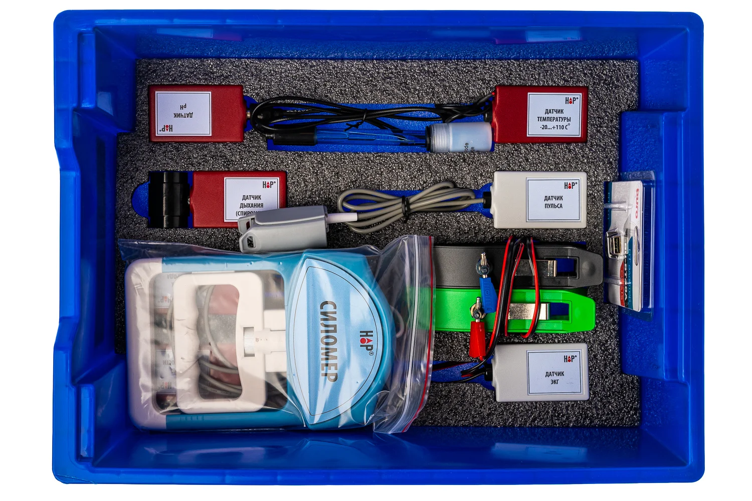 Цифровая лаборатория по физиологии