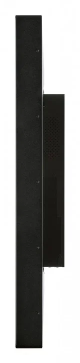 Профессиональная панель Iiyama TE5564MIS-B2AG Профессиональная панель Iiyama TE5564MIS-B2AG