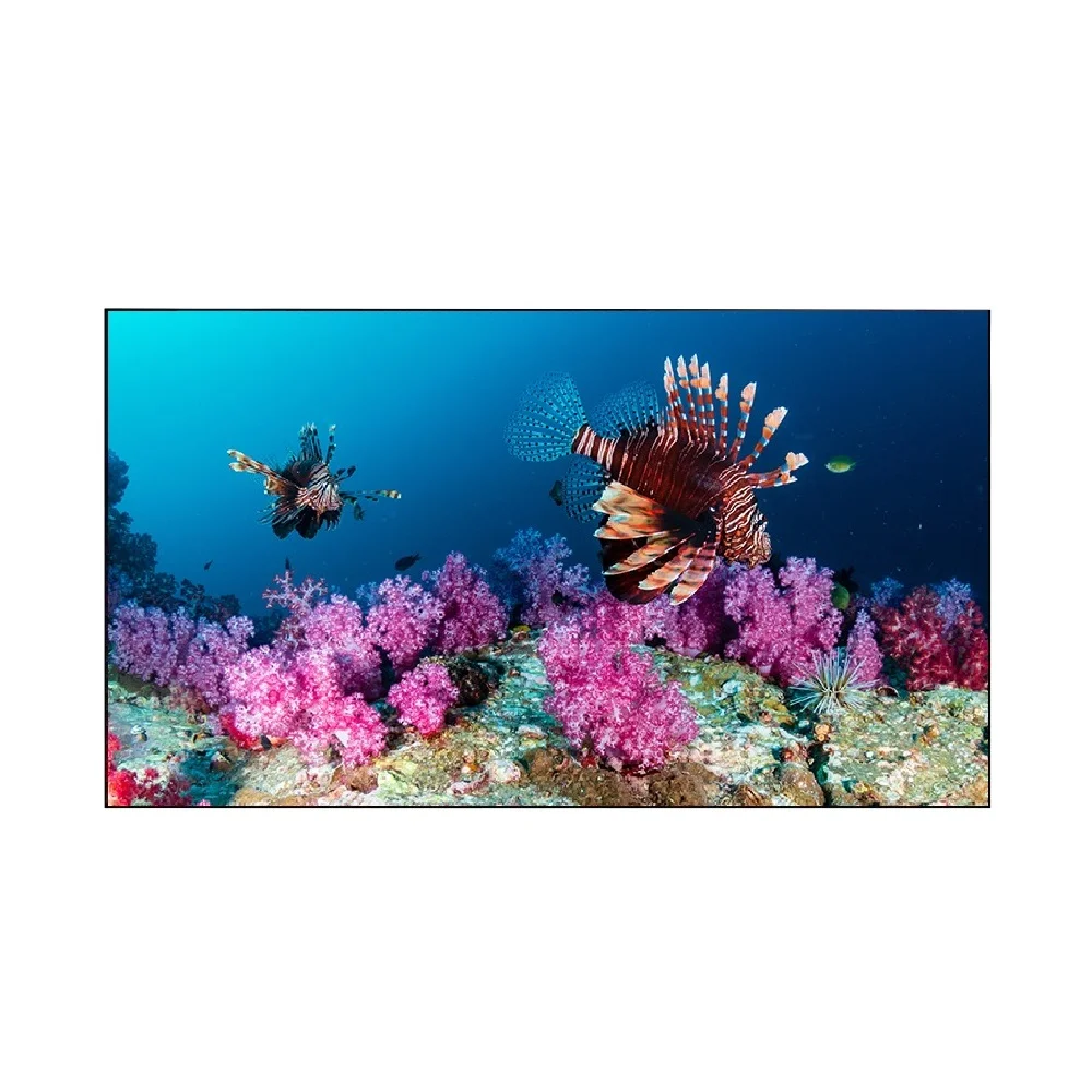 Видеостена EliteBoard SK555FCLN 2х2