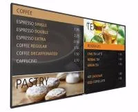 Профессиональная панель Philips BDL4970EL