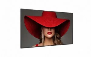 Профессиональная панель Philips 55BDL4650D/00