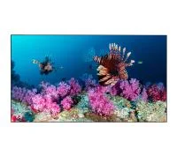 Профессиональная панель EliteBoard для видеостен 65" BB655UCBE