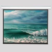 Экран моторизированный ViewScreen Antis (16:10) 550*398 (538*336) MW (с пультом)