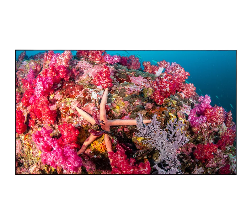 Видеостена EliteBoard BB558FCBED 4х4