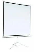 Экран на штативе Digis DSKA-1106 (Kontur-A, формат 1:1, 130*130, MW)