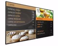 Профессиональная панель Philips BDL4990VL