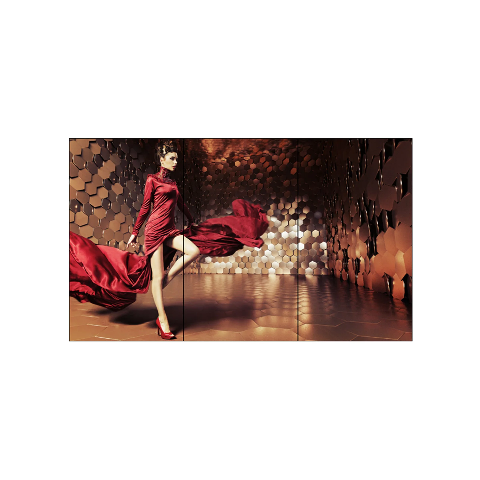 Профессиональная панель LG 55EV5C