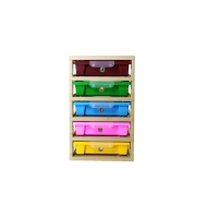 Цифровая лаборатория «Наураша в стране Наурандии», 5 модулей (мультиязычная версия)