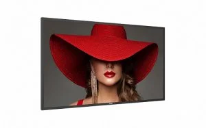 Профессиональная панель Philips 43BDL4650D/00