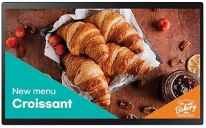 Интерактивная панель с диагональю 24