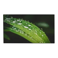 Профессиональная панель Dahua Technology DHI-LS550UDH-UG