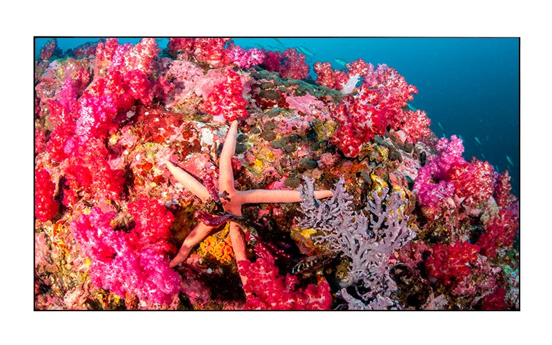 Видеостена EliteBoard SK495FCLN 4х4