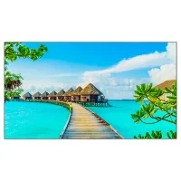 Профессиональная панель EliteBoard для видеостен 55" PK557FDLN