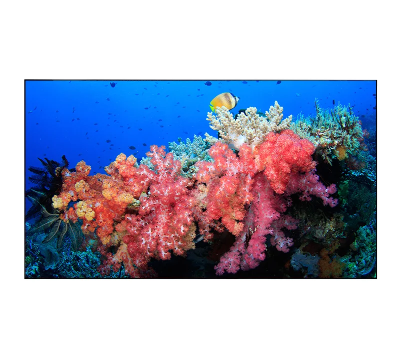 Видеостена EliteBoard BB555FCBED 4х4