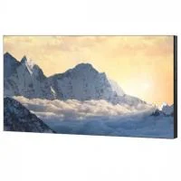 Профессиональная панель Samsung UM55H-E