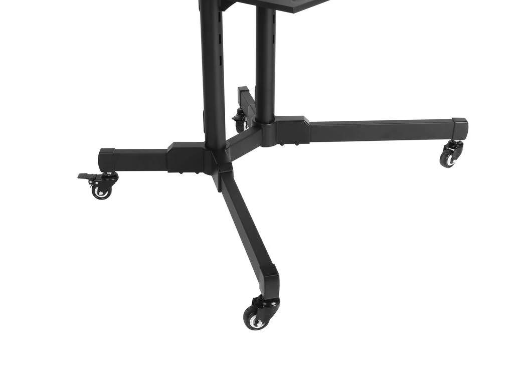 Напольная мобильная стойка Digis DSM-P164CL