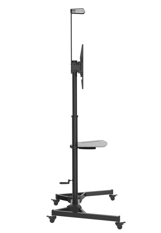 Напольная мобильная стойка Digis DSM-P264CH
