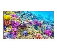 Профессиональная панель EliteBoard для видеостен 55" BK557FFLE