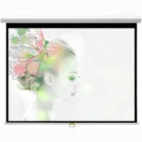 Экран настенный Premier Orion II (4:3) 244х223 (W 234х176/3 MW-FC/W)