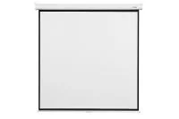 Экран Digis Optimal-B формат 4:3 (300*225)  (MW) DSOB-4307