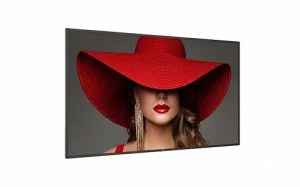 Профессиональная панель Philips 65BDL4650D/00