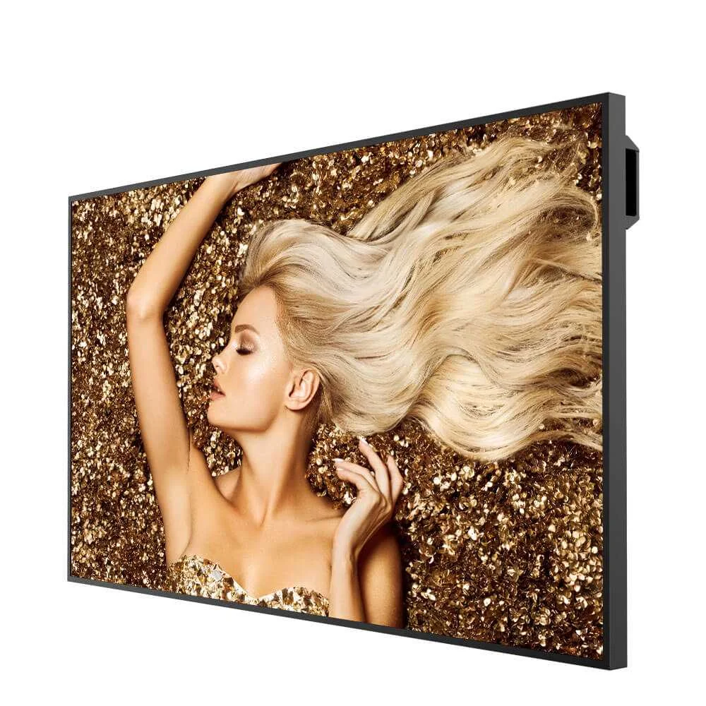 Профессиональная панель Benq SL6502K Профессиональная панель Benq SL6502K