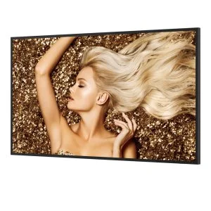 Профессиональная панель Benq 55" SL5502K Профессиональная панель Benq 55" SL5502K