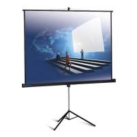 Экран на штативе Dinon Tripod TRV240 (4:3) 240x180