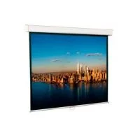 Настенный экран Lumien Master Picture (259х400) 16:9 (MWFG) LMP-100126
